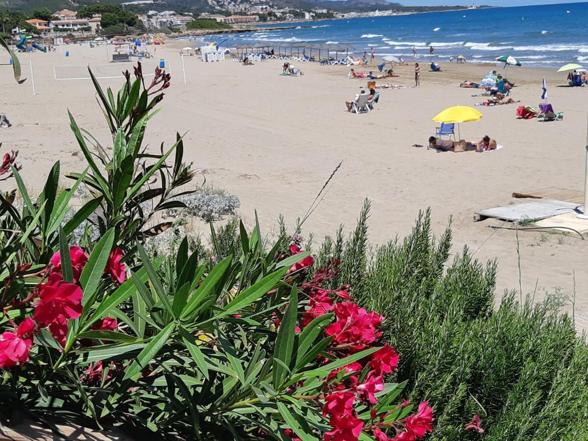 Ferienwohnung Mit Privat-Pool Alcoceber Bagian luar foto