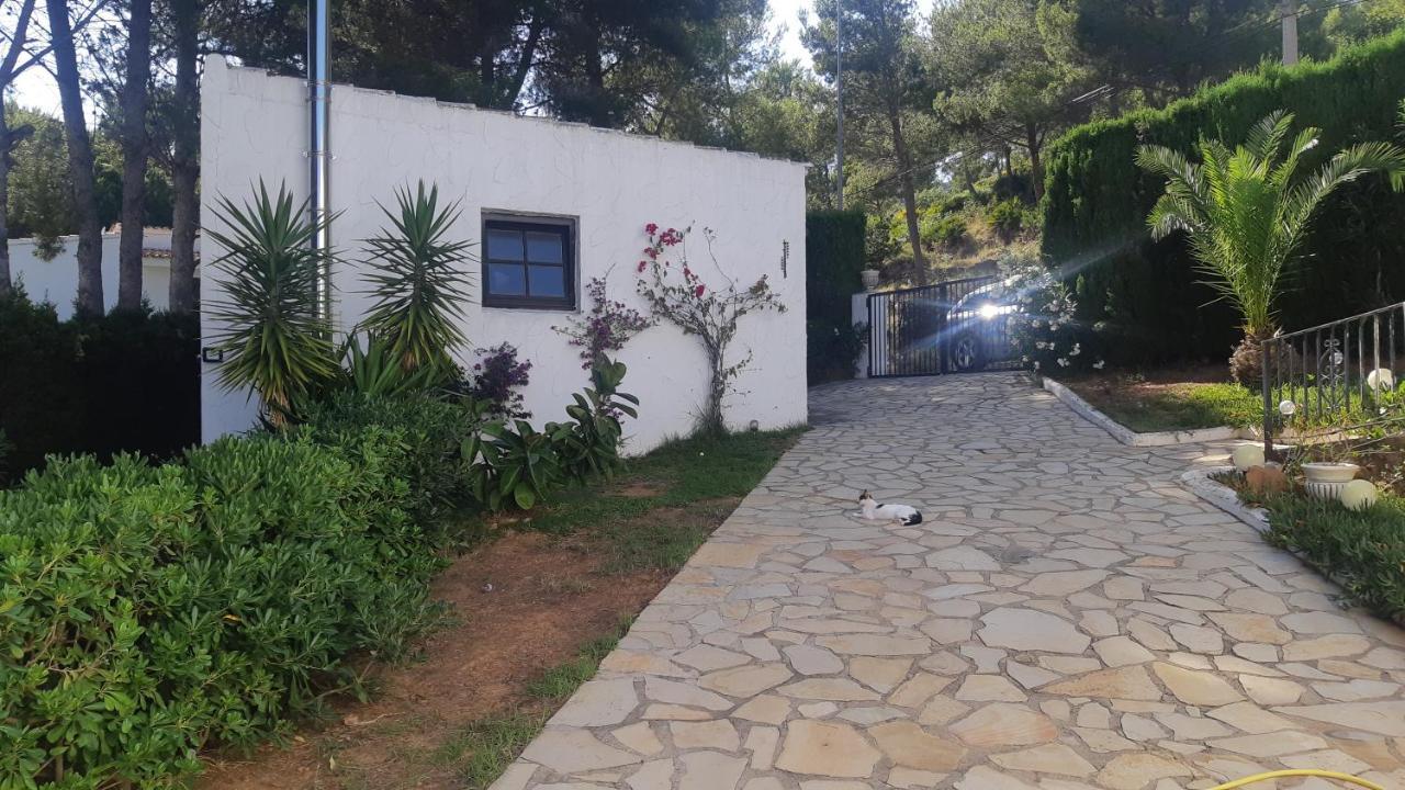 Ferienwohnung Mit Privat-Pool Alcoceber Bagian luar foto
