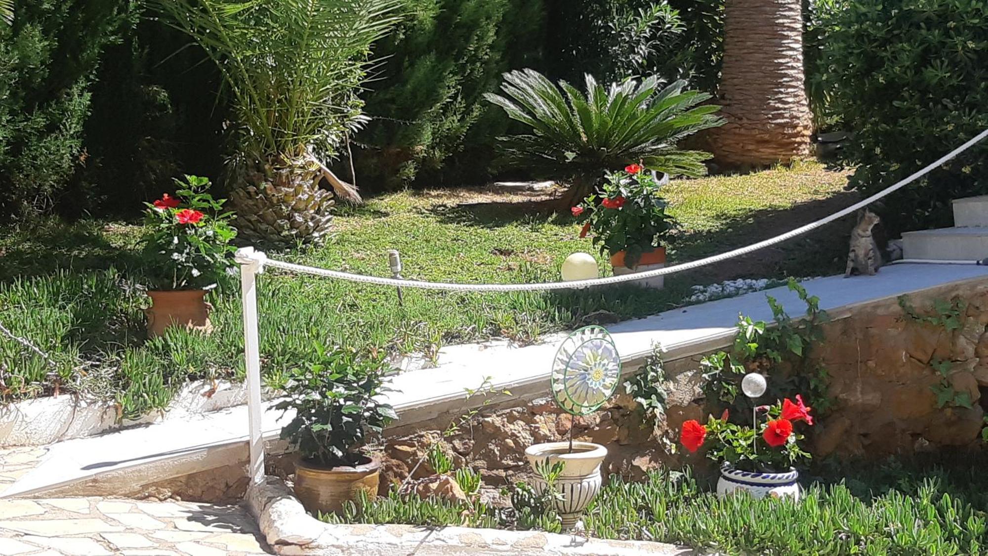 Ferienwohnung Mit Privat-Pool Alcoceber Bagian luar foto