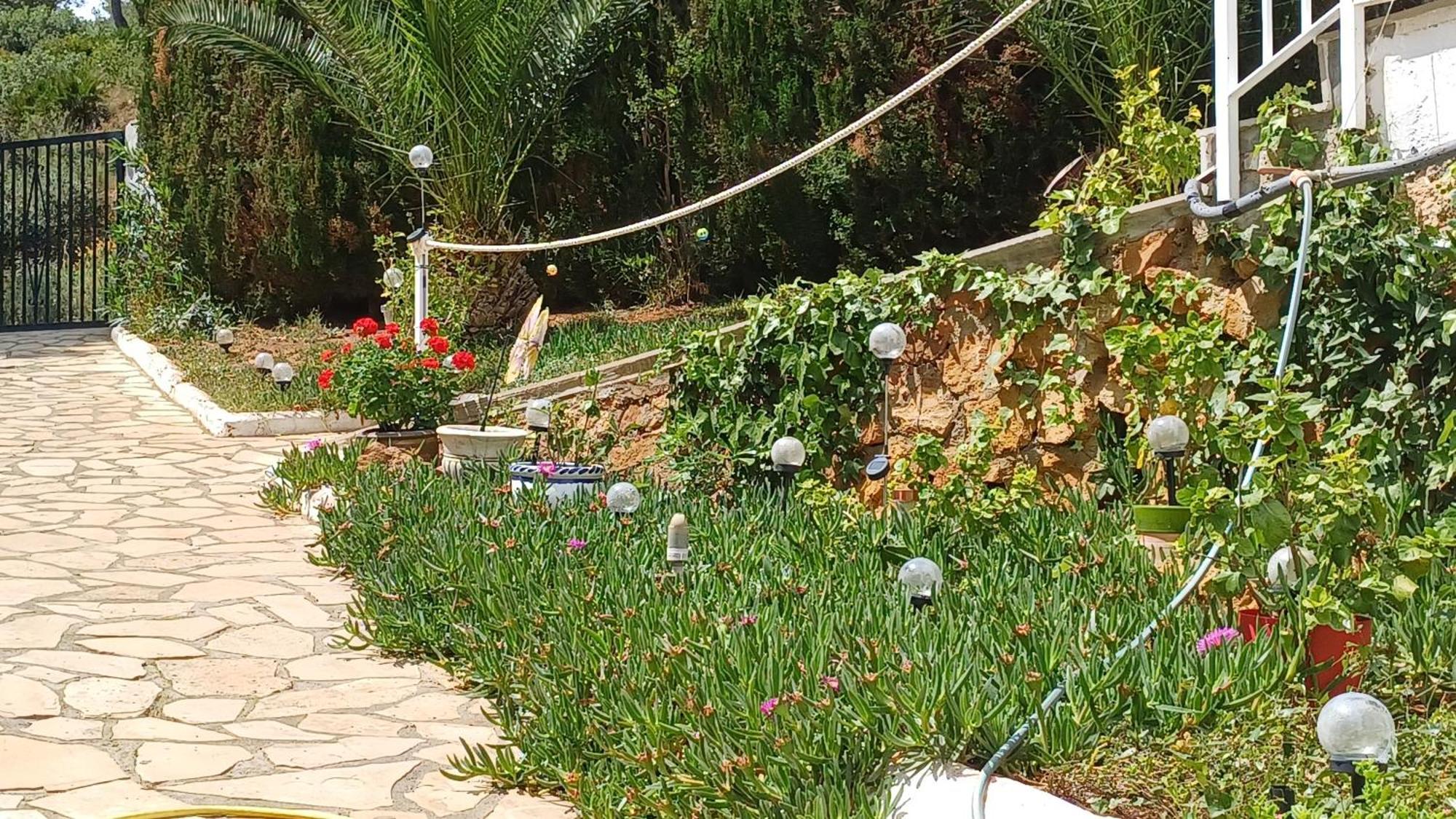 Ferienwohnung Mit Privat-Pool Alcoceber Bagian luar foto