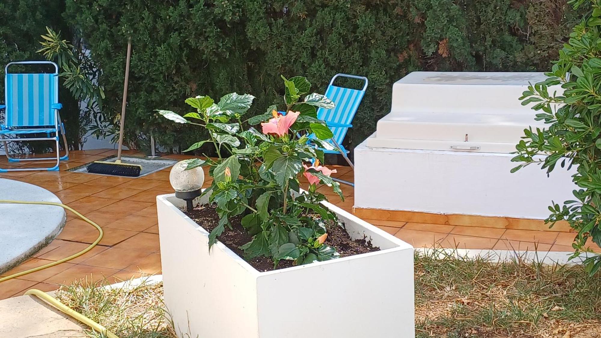 Ferienwohnung Mit Privat-Pool Alcoceber Bagian luar foto